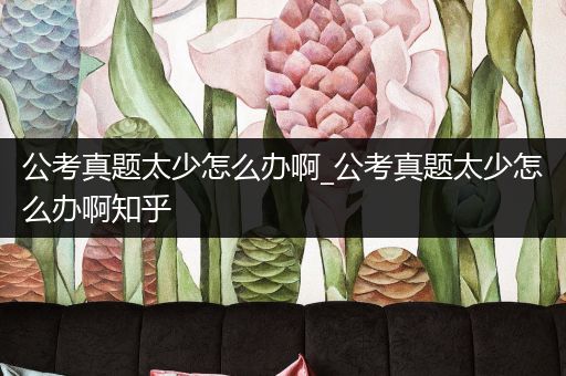 公考真题太少怎么办啊_公考真题太少怎么办啊知乎