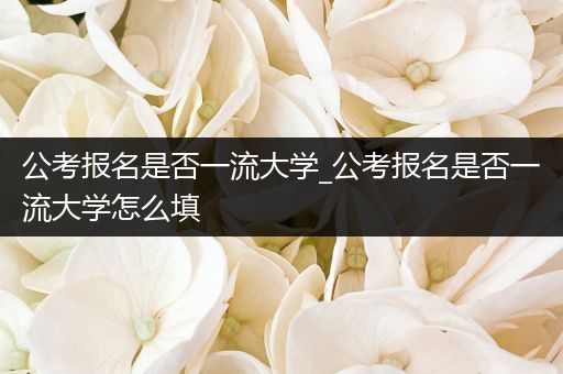 公考报名是否一流大学_公考报名是否一流大学怎么填