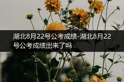 湖北8月22号公考成绩-湖北8月22号公考成绩出来了吗