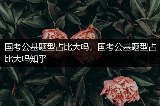 国考公基题型占比大吗，国考公基题型占比大吗知乎
