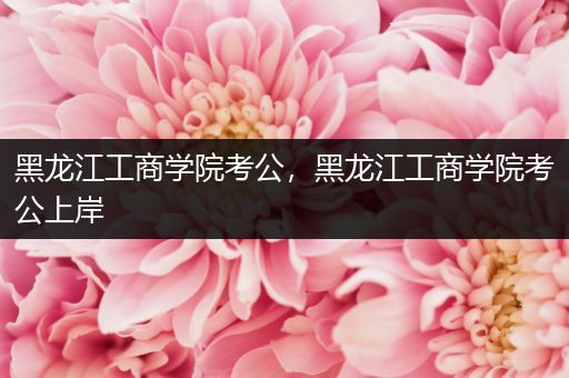 黑龙江工商学院考公，黑龙江工商学院考公上岸