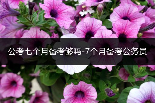 公考七个月备考够吗-7个月备考公务员