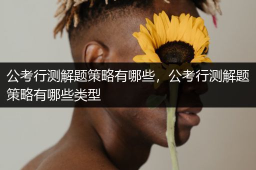 公考行测解题策略有哪些，公考行测解题策略有哪些类型