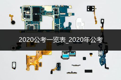 2020公考一览表_2020年公考