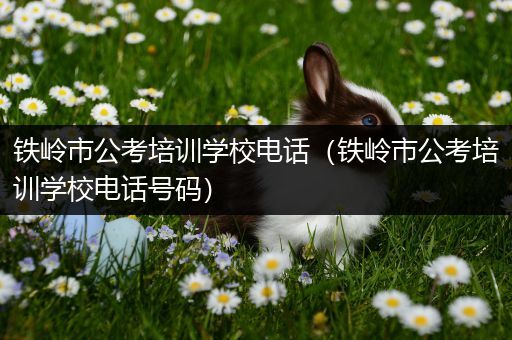 铁岭市公考培训学校电话（铁岭市公考培训学校电话号码）