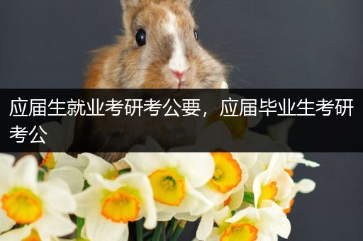 应届生就业考研考公要，应届毕业生考研考公