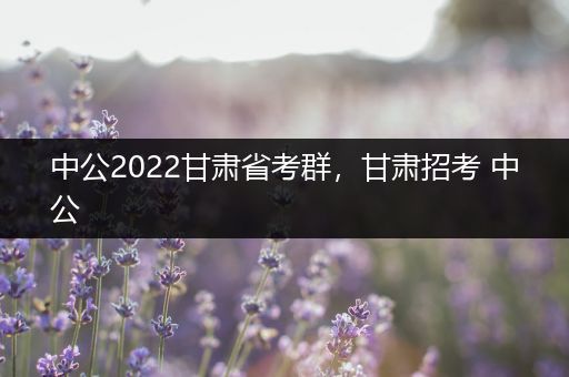 中公2022甘肃省考群，甘肃招考 中公
