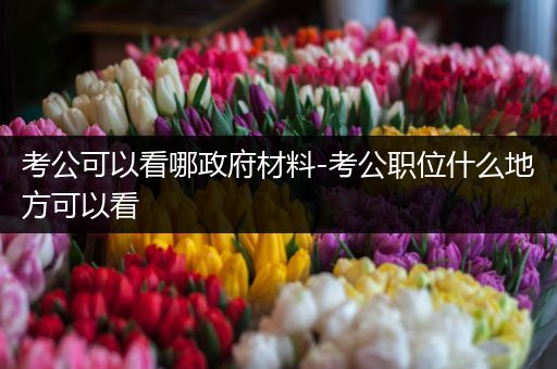 考公可以看哪政府材料-考公职位什么地方可以看