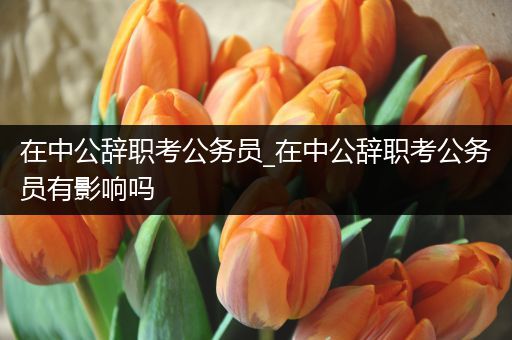 在中公辞职考公务员_在中公辞职考公务员有影响吗