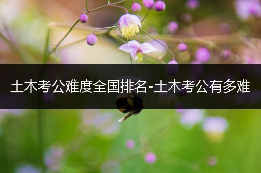 土木考公难度全国排名-土木考公有多难