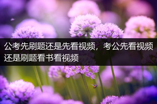 公考先刷题还是先看视频，考公先看视频还是刷题看书看视频
