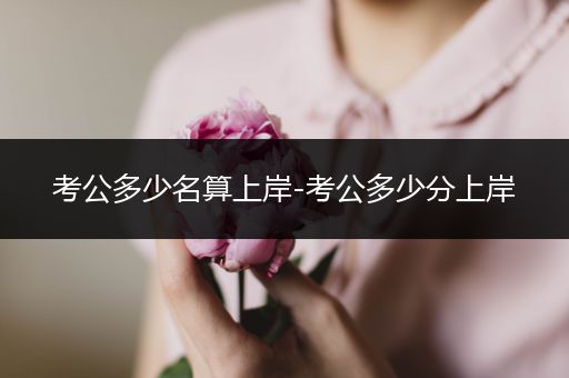 考公多少名算上岸-考公多少分上岸
