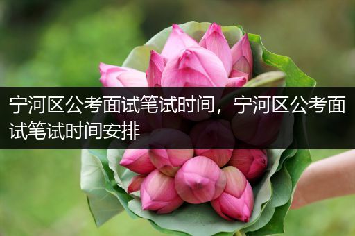 宁河区公考面试笔试时间，宁河区公考面试笔试时间安排
