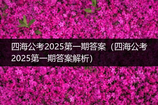 四海公考2025第一期答案（四海公考2025第一期答案解析）
