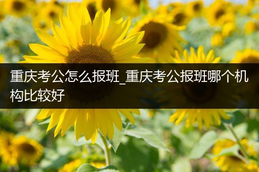 重庆考公怎么报班_重庆考公报班哪个机构比较好
