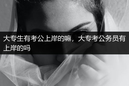 大专生有考公上岸的嘛，大专考公务员有上岸的吗