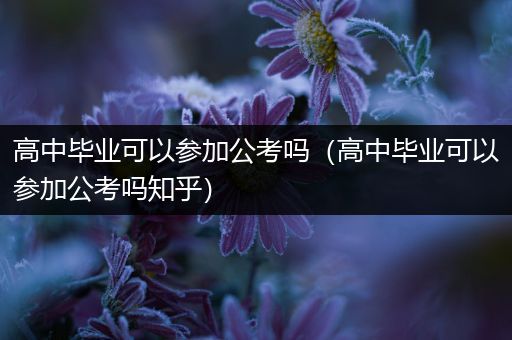 高中毕业可以参加公考吗（高中毕业可以参加公考吗知乎）