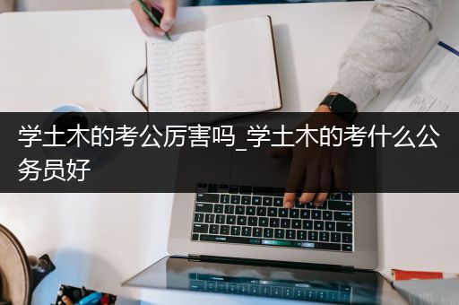 学土木的考公厉害吗_学土木的考什么公务员好