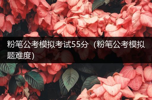 粉笔公考模拟考试55分（粉笔公考模拟题难度）