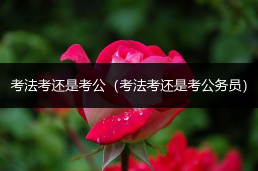 考法考还是考公（考法考还是考公务员）
