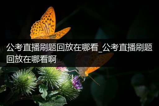 公考直播刷题回放在哪看_公考直播刷题回放在哪看啊