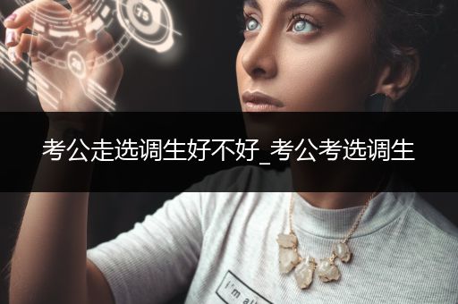 考公走选调生好不好_考公考选调生