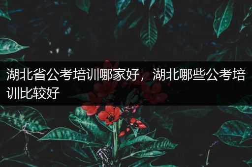 湖北省公考培训哪家好，湖北哪些公考培训比较好