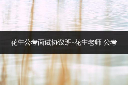 花生公考面试协议班-花生老师 公考