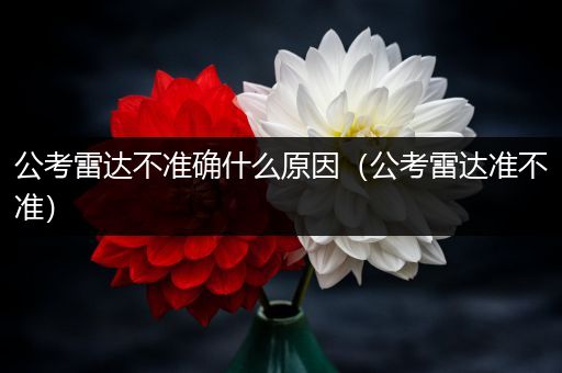 公考雷达不准确什么原因（公考雷达准不准）