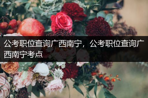 公考职位查询广西南宁，公考职位查询广西南宁考点