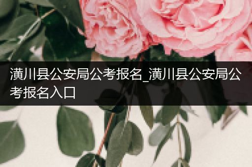 潢川县公安局公考报名_潢川县公安局公考报名入口