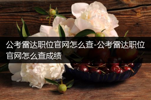 公考雷达职位官网怎么查-公考雷达职位官网怎么查成绩