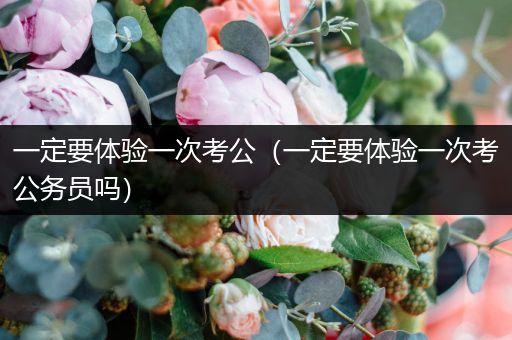 一定要体验一次考公（一定要体验一次考公务员吗）