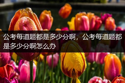 公考每道题都是多少分啊，公考每道题都是多少分啊怎么办