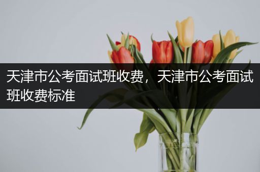 天津市公考面试班收费，天津市公考面试班收费标准