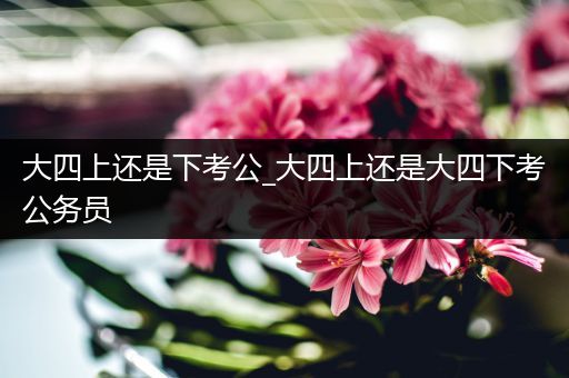 大四上还是下考公_大四上还是大四下考公务员
