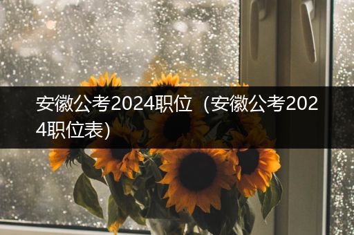安徽公考2024职位（安徽公考2024职位表）
