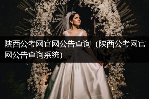 陕西公考网官网公告查询（陕西公考网官网公告查询系统）