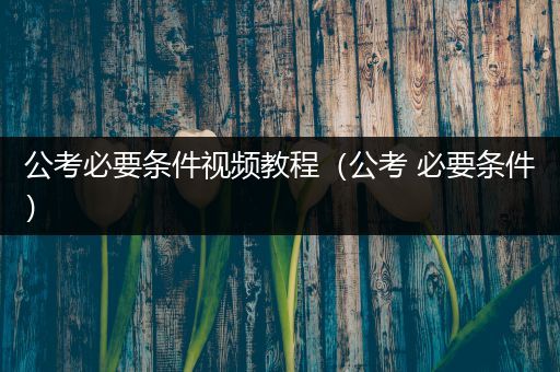 公考必要条件视频教程（公考 必要条件）