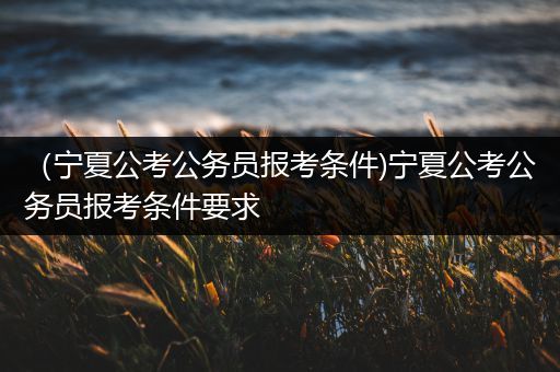 （宁夏公考公务员报考条件)宁夏公考公务员报考条件要求