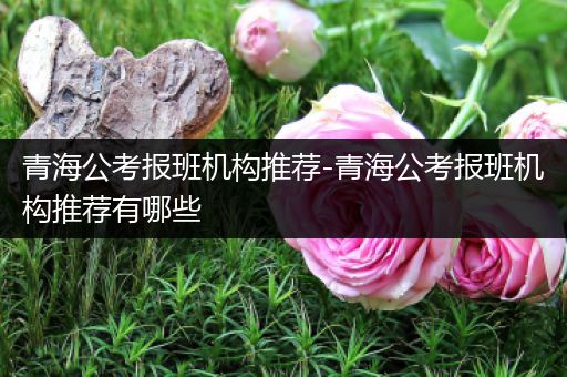 青海公考报班机构推荐-青海公考报班机构推荐有哪些
