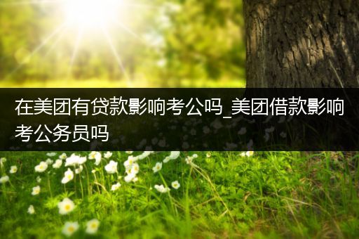在美团有贷款影响考公吗_美团借款影响考公务员吗