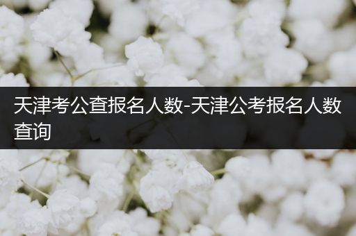 天津考公查报名人数-天津公考报名人数查询