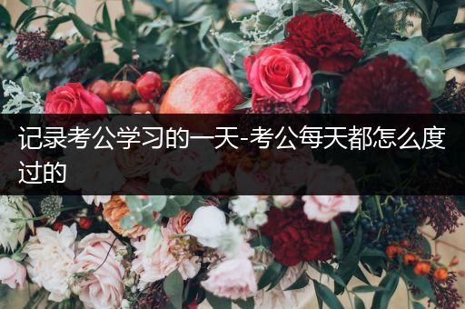 记录考公学习的一天-考公每天都怎么度过的