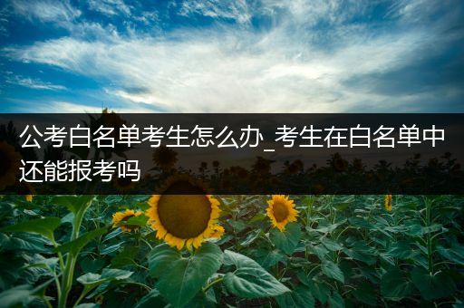 公考白名单考生怎么办_考生在白名单中还能报考吗