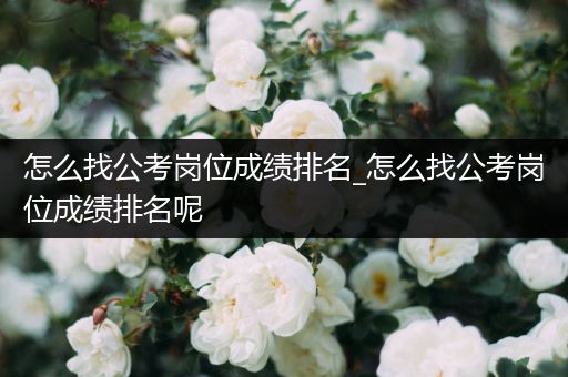 怎么找公考岗位成绩排名_怎么找公考岗位成绩排名呢