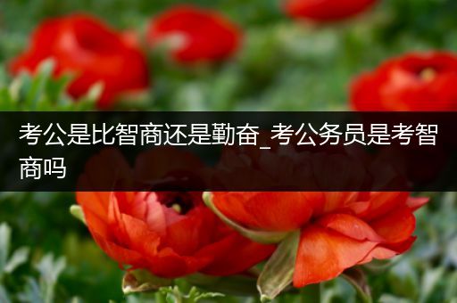 考公是比智商还是勤奋_考公务员是考智商吗