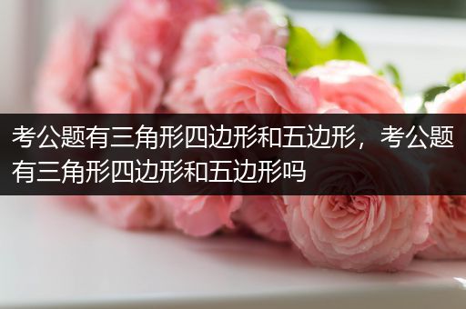考公题有三角形四边形和五边形，考公题有三角形四边形和五边形吗
