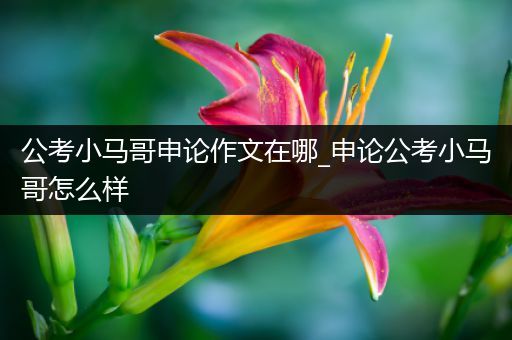 公考小马哥申论作文在哪_申论公考小马哥怎么样