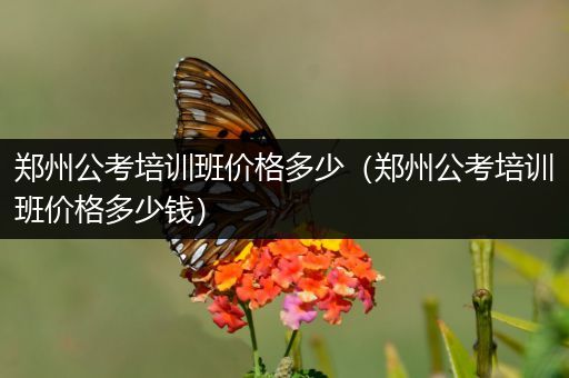 郑州公考培训班价格多少（郑州公考培训班价格多少钱）